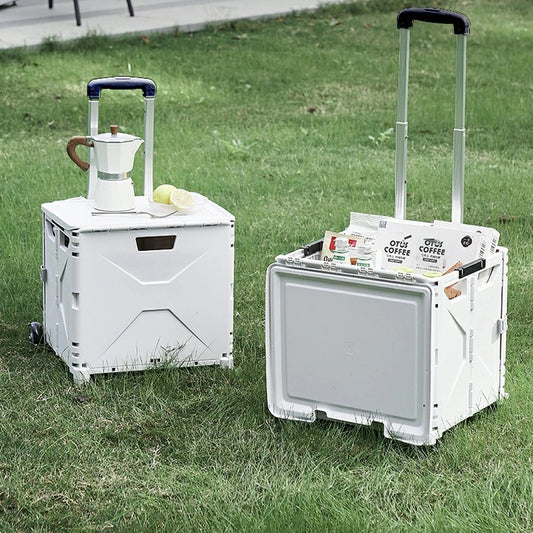 🛒 Carrito de Almacenamiento Plegable con Ruedas y Asa Telescópica | La Caja Rodante Versátil (2459)